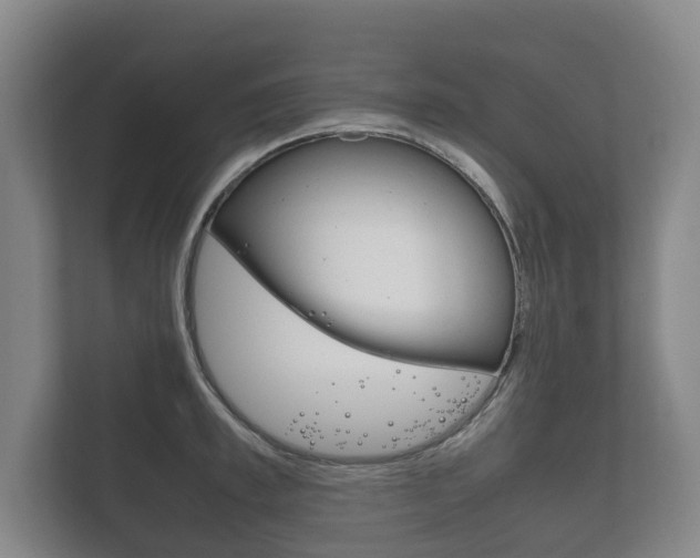 X0000111840997200907231035