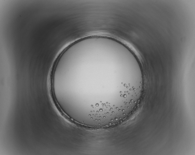 X0000111840999200907231035