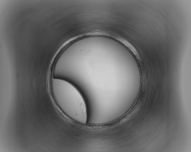X0000111841000200907231035
