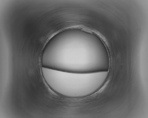 X0000111841001200907231035