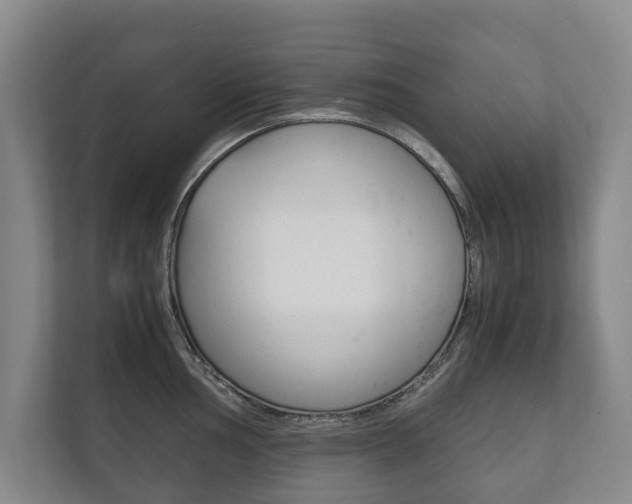 X0000111841002200907231035