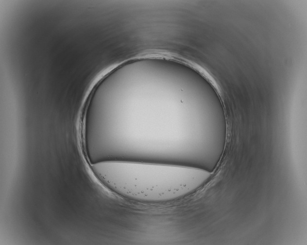 X0000111841003200907231035