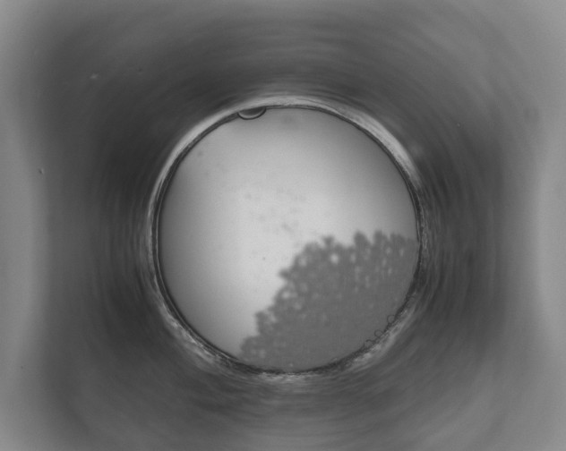 X0000111841004200907231035