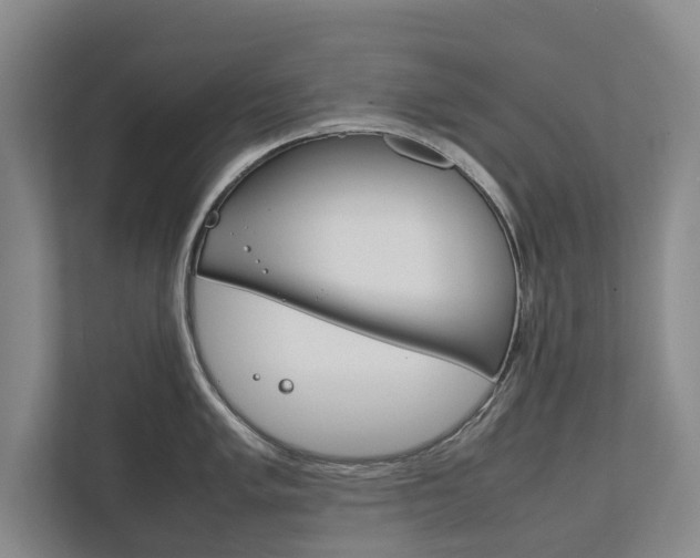 X0000111841005200907231035