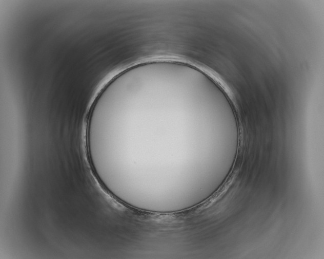 X0000111841006200907231035