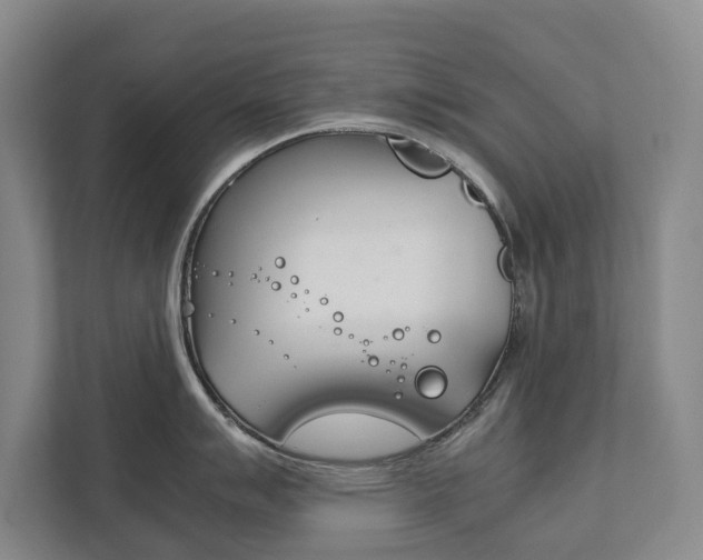 X0000111841007200907231035