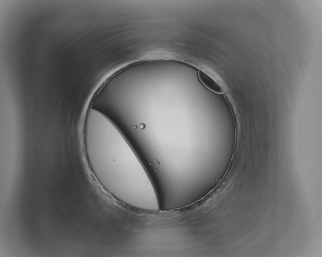 X0000111841008200907231035