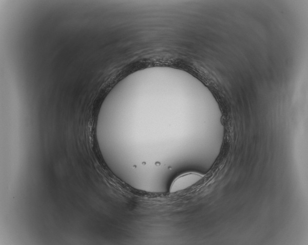 X0000111841010200907231035