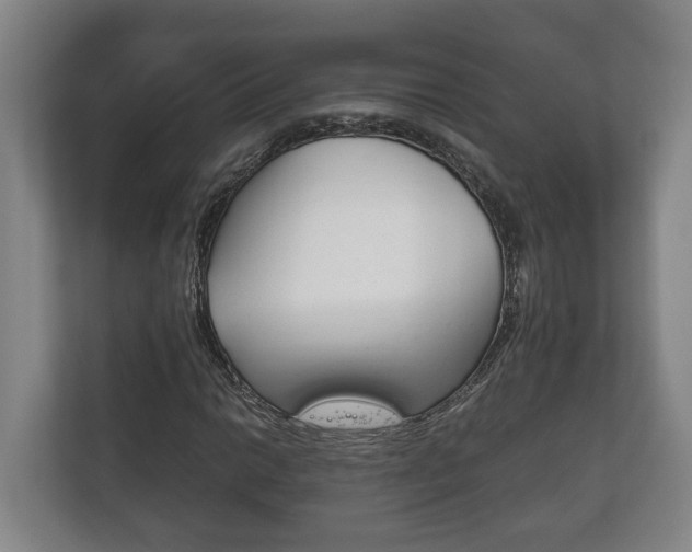 X0000111841014200907231035