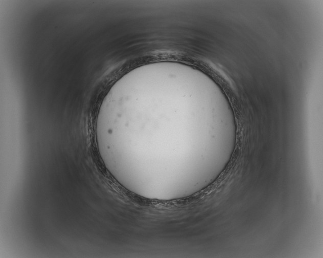 X0000111841015200907231035