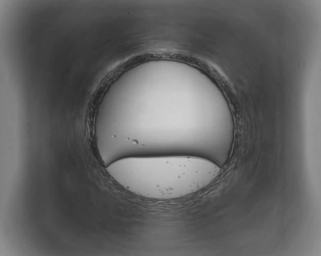 X0000111841016200907231035