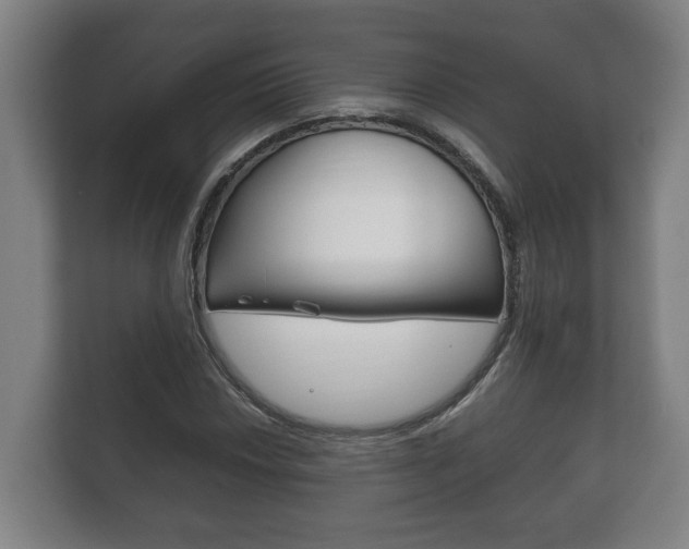 X0000111841018200907231035