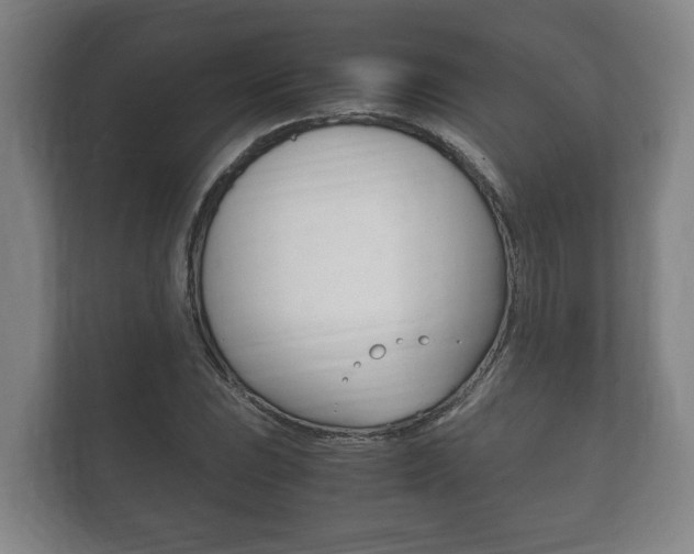 X0000111841023200907231035