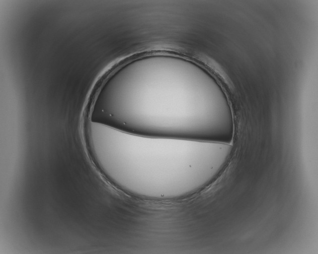 X0000111841024200907231035