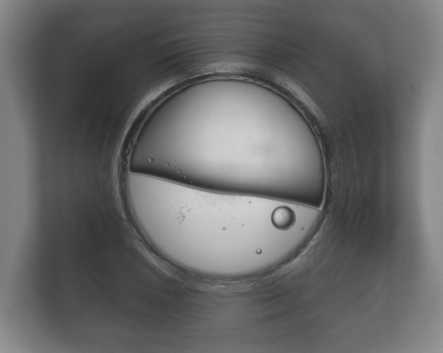 X0000111841026200907231035