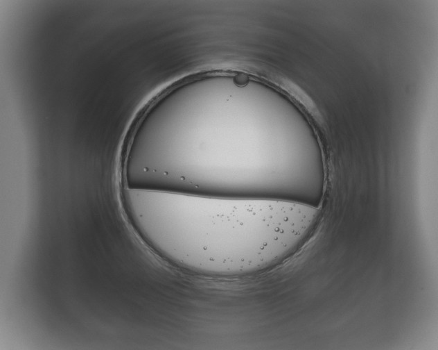 X0000111841028200907231035
