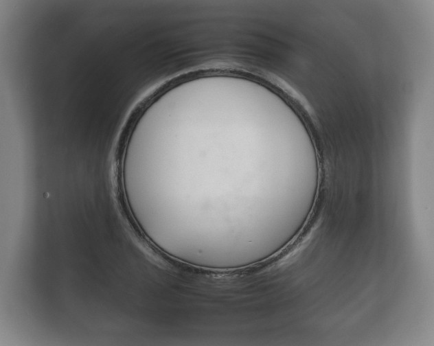 X0000111841029200907231035