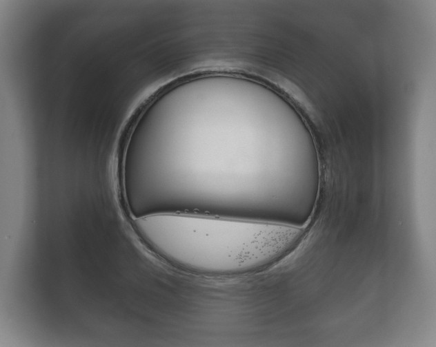 X0000111841030200907231035