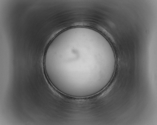 X0000111841033200907231035