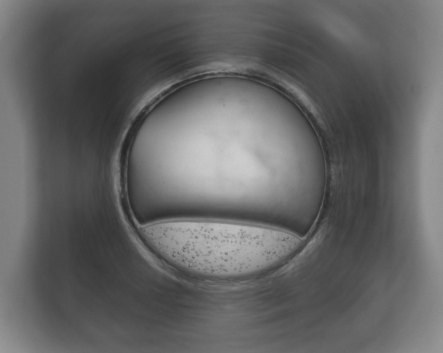 X0000111841034200907231035