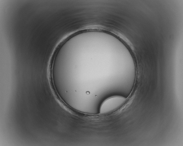 X0000111841037200907231035