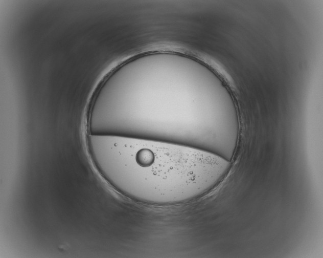 X0000111841040200907231035