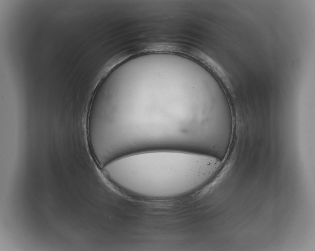 X0000111841041200907231035