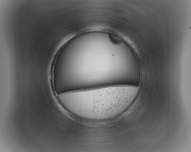 X0000111841042200907231035