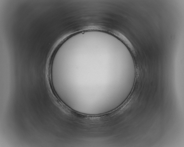 X0000111841043200907231035