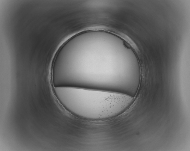 X0000111841044200907231035