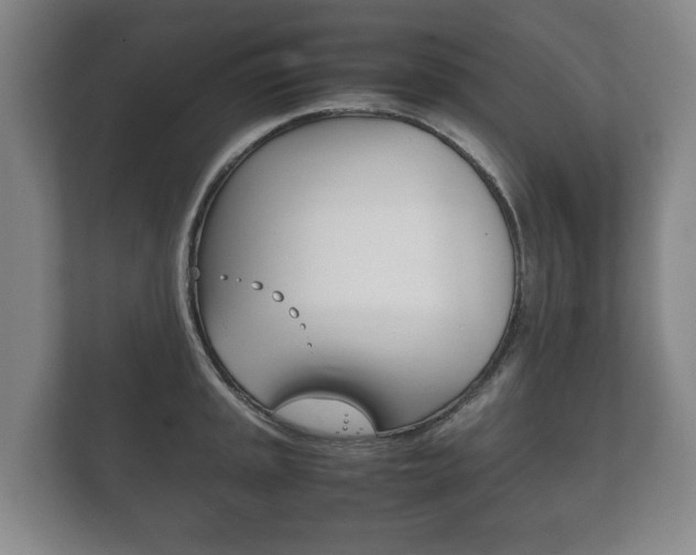 X0000111841045200907231035