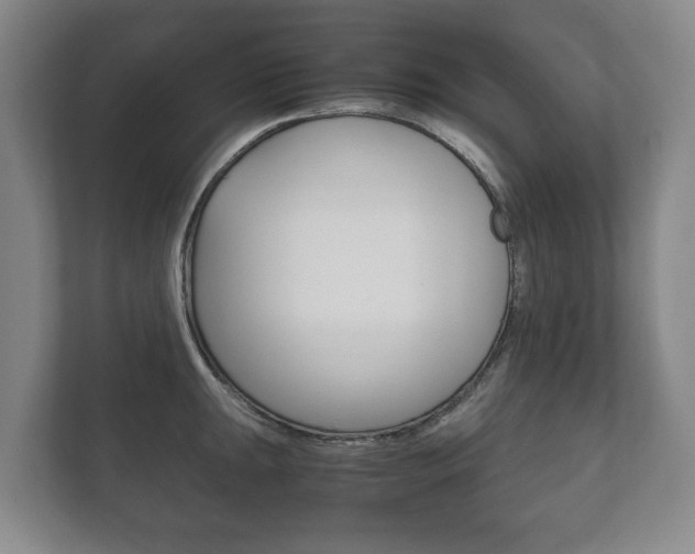 X0000111841047200907231035
