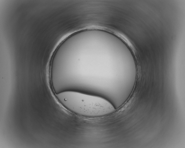 X0000111841048200907231035