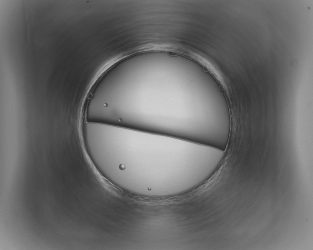 X0000111841050200907231035