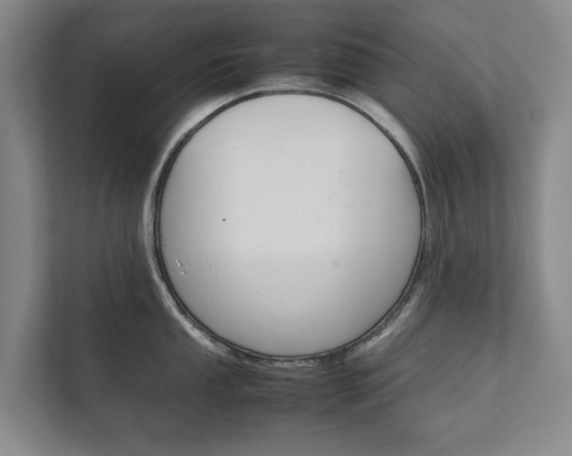 X0000111841053200907231035