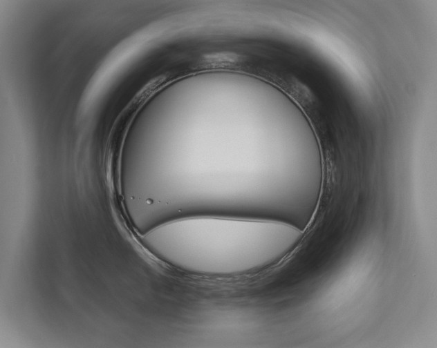 X0000111841054200907231035