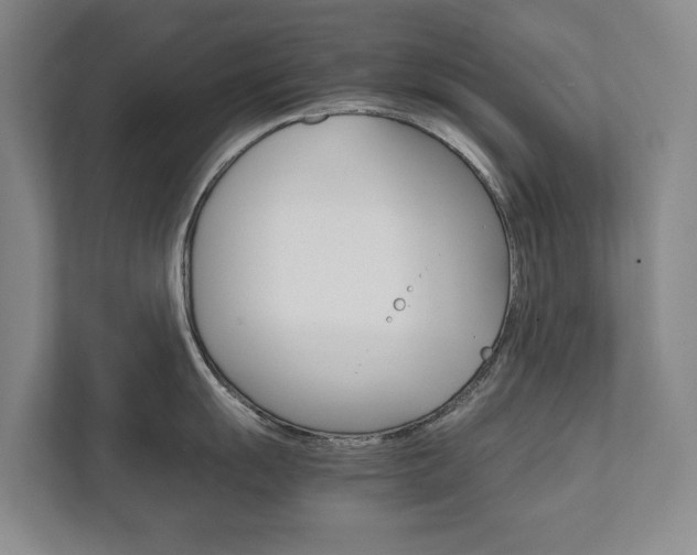 X0000111841055200907231035