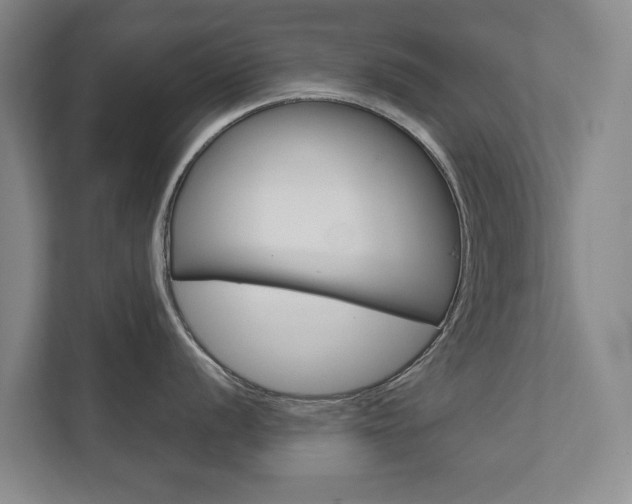 X0000111841056200907231035