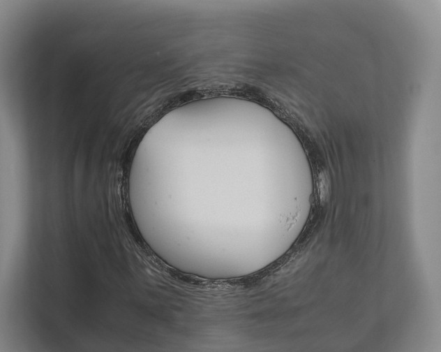 X0000111841059200907231035