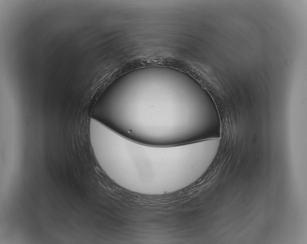 X0000111841060200907231035