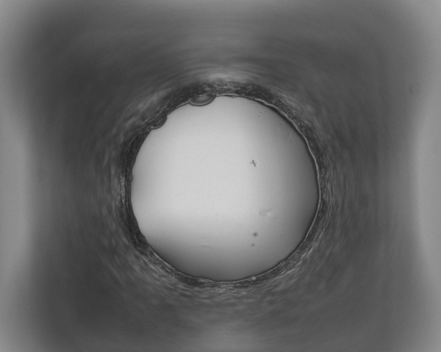 X0000111841061200907231035