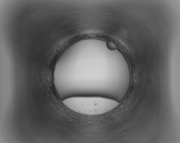 X0000111841062200907231034
