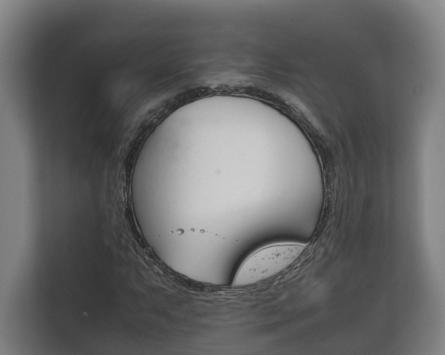 X0000111841063200907231034