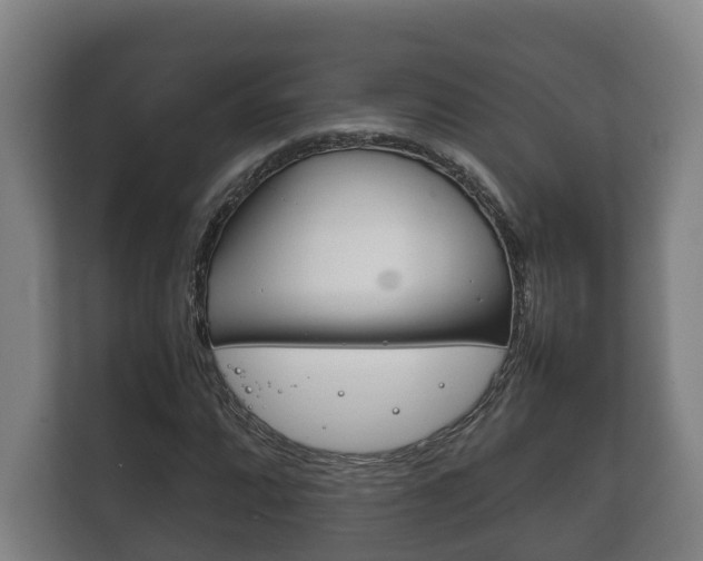 X0000111841064200907231034