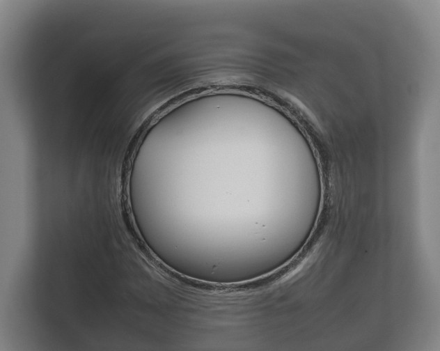 X0000111841065200907231034