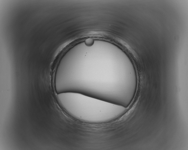 X0000111841066200907231034