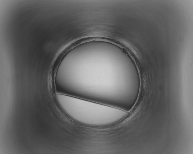X0000111841069200907231034