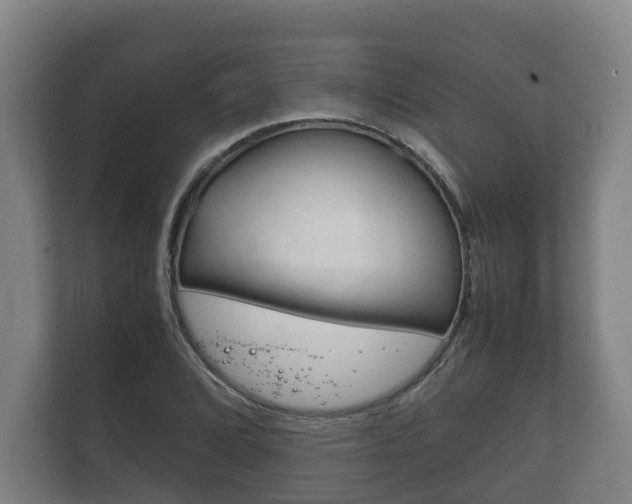X0000111841072200907231034