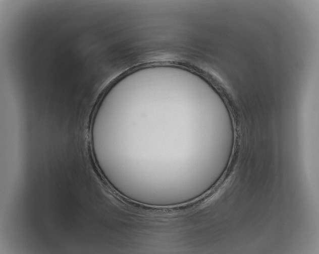 X0000111841073200907231034