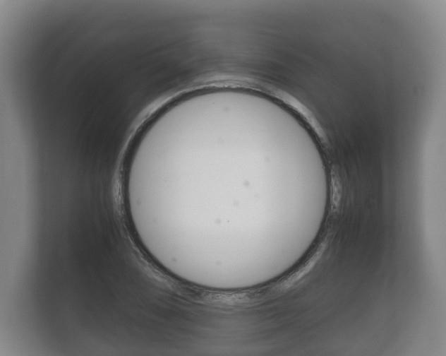 X0000111841074200907231034